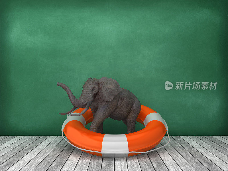生活带与大象在木地板上-黑板背景- 3D渲染